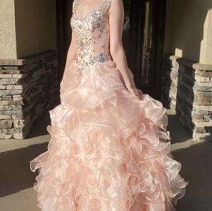 Pink Tulle Sweetheart Princess Dress
